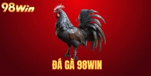 Đá gà 98win