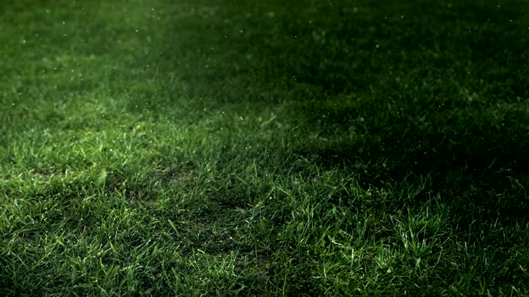 Phù Hợp Với Nhiều Đối Tượng Người Chơi