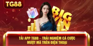 Tải App TG88 – Trải Nghiệm Cá Cược Mượt Mà Trên Điện Thoại